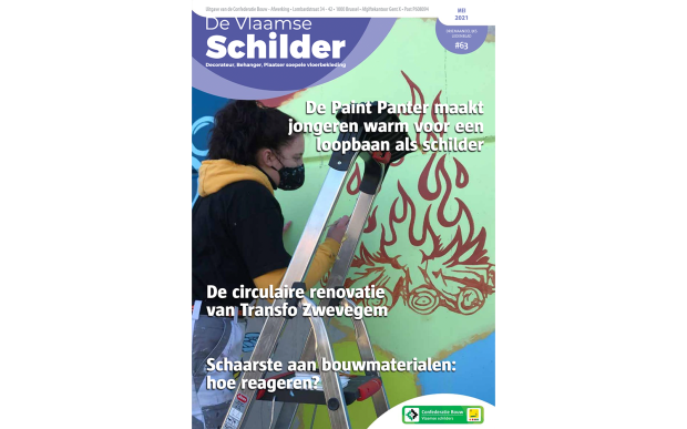 vlaamse schilder