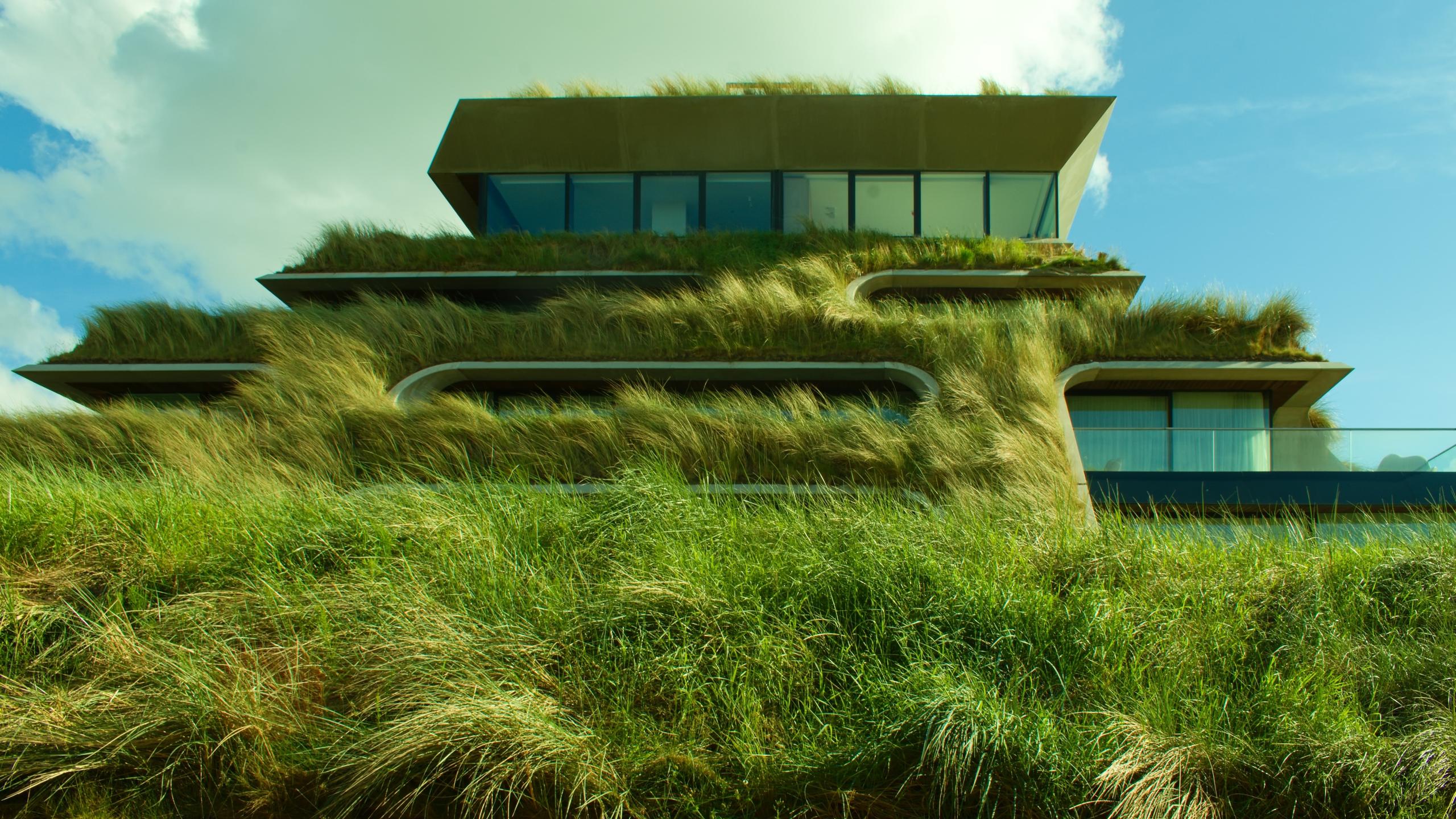 Embuild Plus Gevel- en dakgroen