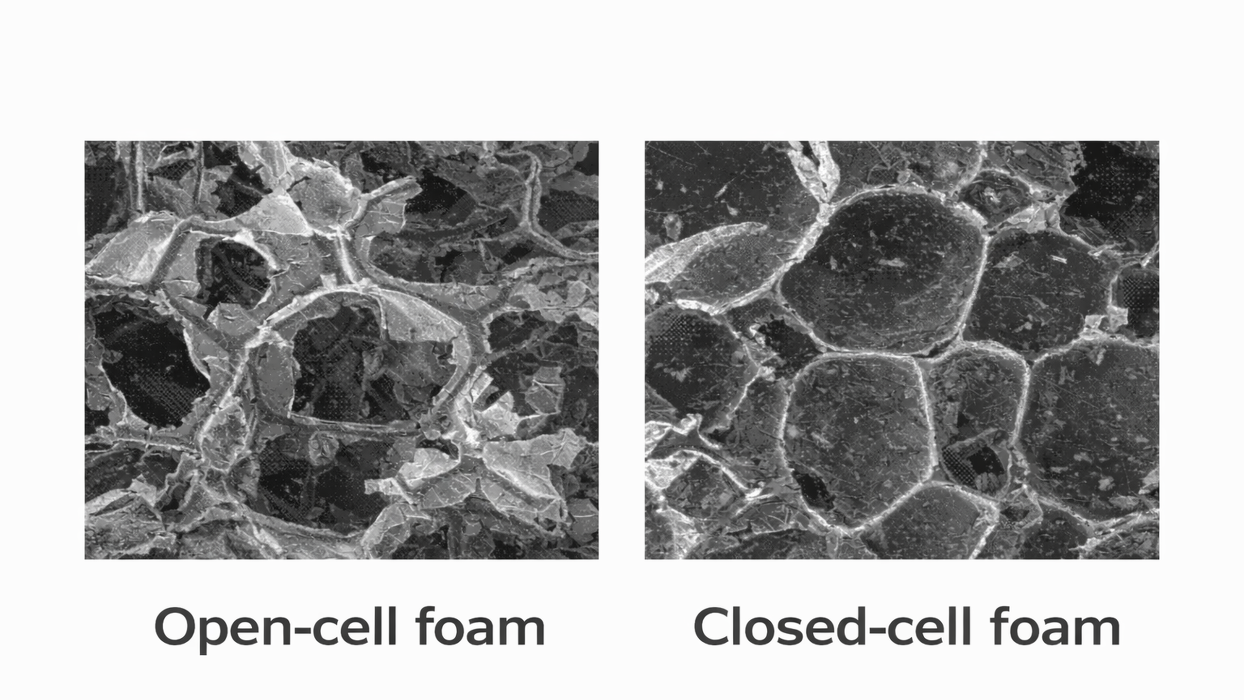 Vergelijking van celstructuur tussen open-cel en gesloten-cel PUR-schuim onder de microscoop
